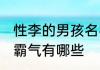 性李的男孩名字霸气 性李的男孩名字霸气有哪些