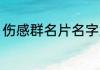 伤感群名片名字大全 伤感群名称大全