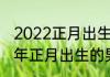 2022正月出生男属虎取名 适合2022年正月出生的男宝宝名字