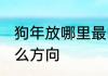 狗年放哪里最旺财 生肖属狗财位在什么方向