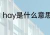 hay是什么意思 hay英语是什么意思