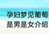 孕妇梦见葡萄是男是女 孕妇梦见葡萄是男是女介绍