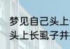 梦见自己头上长虱子并掐死 梦见自己头上长虱子并掐死好不好