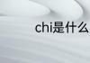 chi是什么意思 chi的意思