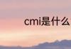 cmi是什么意思 cmi的意思