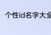 个性id名字大全6字 网名6个字以内