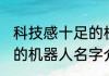 科技感十足的机器人名字 科技感十足的机器人名字介绍