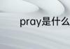 pray是什么意思 pray的意思