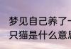 梦见自己养了一只猫 梦见自己养了一只猫是什么意思