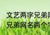 文艺两字兄弟网名超拽霸气 霸气双人兄弟网名两个字的