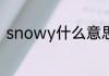 snowy什么意思 snowy是什么意思