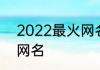 2022最火网名吉祥 大方又潇洒最火网名