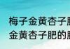 梅子金黄杏子肥的肥是什么意思 梅子金黄杏子肥的肥的意思