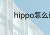 hippo怎么读 hippo英文解释