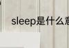 sleep是什么意思 sleep是啥意思