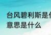 台风碧利斯是什么意思 台风碧利斯的意思是什么